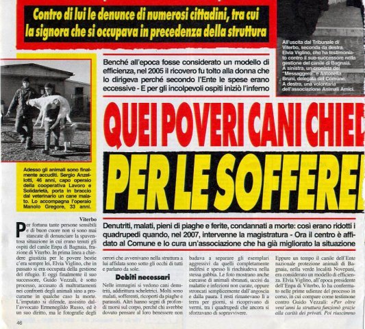 canileVITERBO 2 feb2009